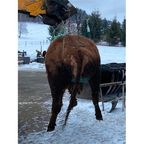 Zvedák krav - do 1000 kg Zvedák krav - do 1000 kg