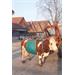 Zvedák krav - do 1000 kg Zvedák krav - do 1000 kg