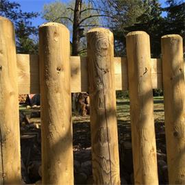 Palisáda dřevěná, impregnovaná, průměr 10 cm - délka 3 m Palisáda dřevěná, impregnovaná