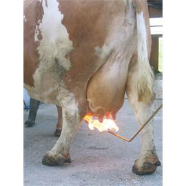 Opalovač vemene PREVENTA studený plamen, na plyn. lahev, hadice 3 m Opalovač vemene PREVENTA studený plam. hadice 3 m
