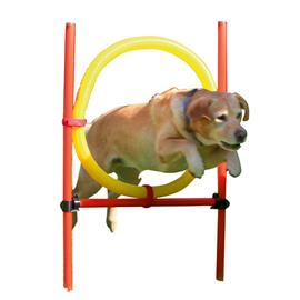 Tyčky Agility, set Tyčky Agility, set