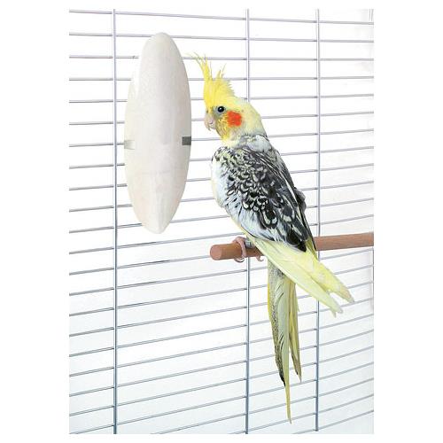 Sépiová kost pro ptáky, 12 cm Sépiová kost pro ptáky, 12 cm