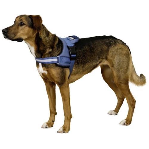 Postroj pro psy Maestro, petrol - 64 - 90 cm Postroj pro psy Maestro, petrol, 64-90cm