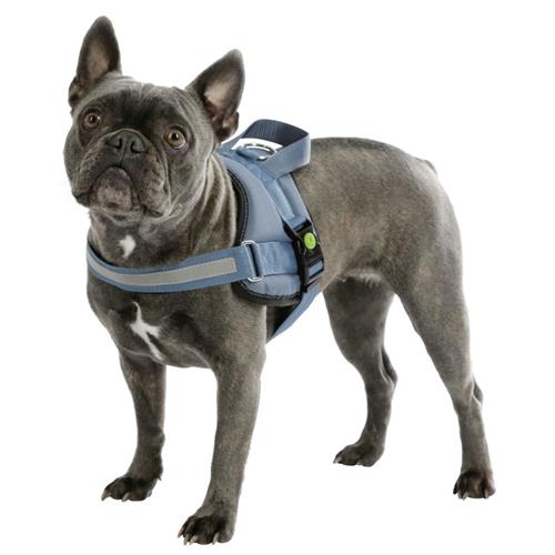 Postroj pro psy Maestro, petrol - 64 - 90 cm Postroj pro psy Maestro, petrol, 64-90cm