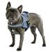 Postroj pro psy Maestro, petrol - 64 - 90 cm Postroj pro psy Maestro, petrol, 64-90cm