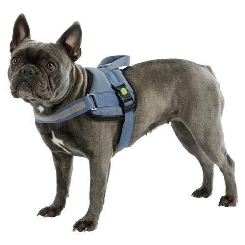 Postroj pro psy Maestro, petrol - 64 - 90 cm Postroj pro psy Maestro, petrol, 64-90cm