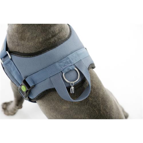 Postroj pro psy Maestro, petrol - 64 - 90 cm Postroj pro psy Maestro, petrol, 64-90cm