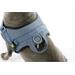 Postroj pro psy Maestro, petrol - 64 - 90 cm Postroj pro psy Maestro, petrol, 64-90cm