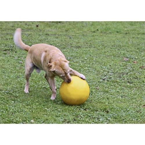 Hračka pro psy tvrdý míč, žlutý, 30 cm Hračka pro psy nafukovací míč, žlutý, 30 cm.