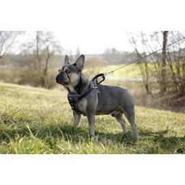 Bezpečnostní postroj pro psy, šedý - M 50 - 65 cm Postroj bezpečnostní nejen do auta.