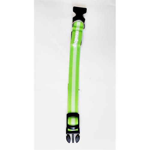 Svíticí obojek Reedog Colour zelený - 32 - 50 cm Svíticí obojek Reedog