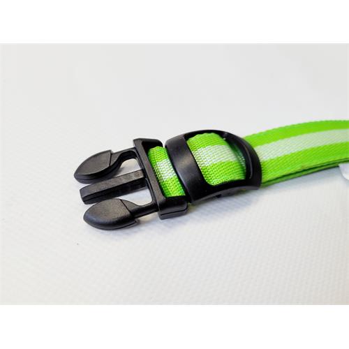 Svíticí obojek Reedog Colour zelený - 32 - 50 cm Svíticí obojek Reedog