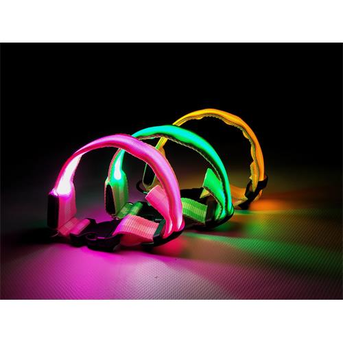 Svíticí obojek Reedog Colour zelený - 32 - 50 cm Svíticí obojek Reedog