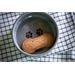 Suchary standard 250g Suchary standard 250g