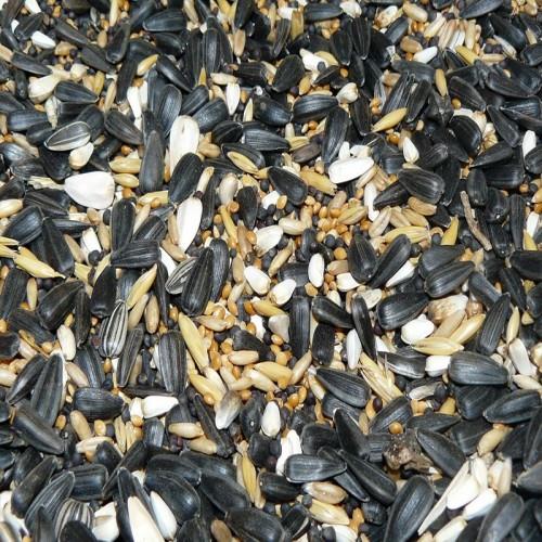 Zimní směs do krmítka pro venkovní ptactvo, 1 kg Avicentra zimní směs do krmítek - detail krmiva.