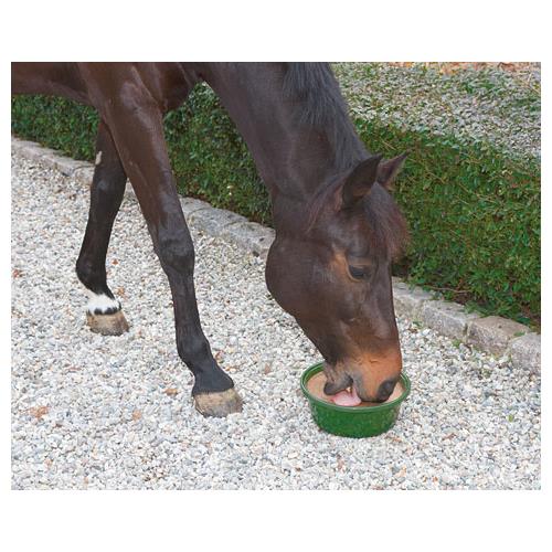 Liz pro koně  Delizia Lick, bronchial, 6 kg Delizia Leckschale Bronchial  6 kg