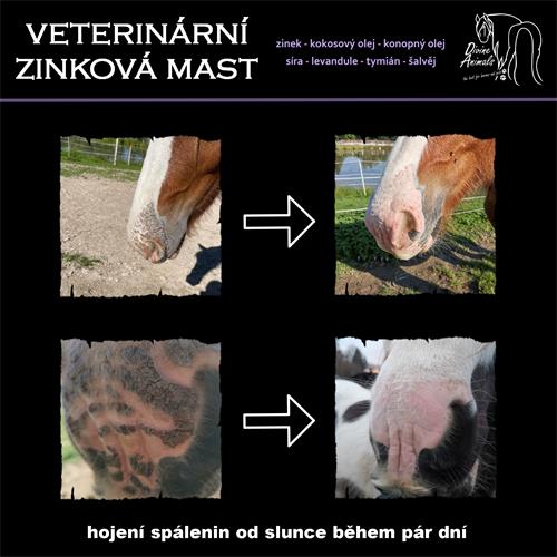 Veterinární zinková mast Divine Animals - 250 ml Mast zinková veterinární Divine animals, 250 ml