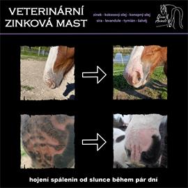 Veterinární zinková mast Divine Animals - 250 ml Mast zinková veterinární Divine animals, 250 ml