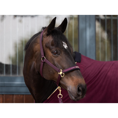 Nylonová ohlávka Eskadron Basic, vínová - vel. Full Ohlávka Eskadron Equestrian, vínová, Full