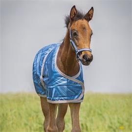 Hříběcí nepromokavá deka QHP S/S 2025 Seashell, modrá - vel. 95 cm Deka hříběcí, nepromokavá QHP SS 2025, modrá, 95