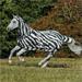 Síťovaná deka proti hmyzu Bucas Buzz-Off S/S 2025, zebra - vel. 145 cm Síťová deka s krkem Bucas Buzz-Off SS 25, zebra, vel. 145