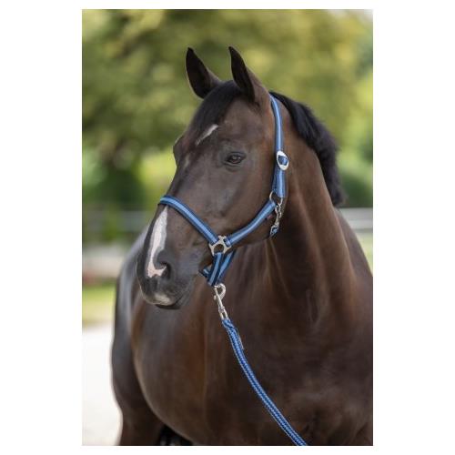 Nylonová ohlávka Hippo, tmavě-světle modrá - 00 - mini shetty Ohlávka pro koně nylonová Hippo, tmavě-světle modrá