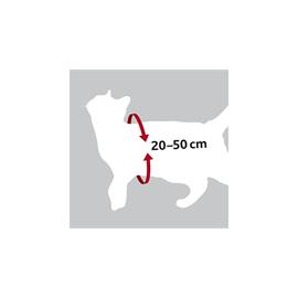 Bezpečnostní pás pro psa do auta - 20 - 50 cm, červený Postroj bezpečnostní, do auta, vel. XS.