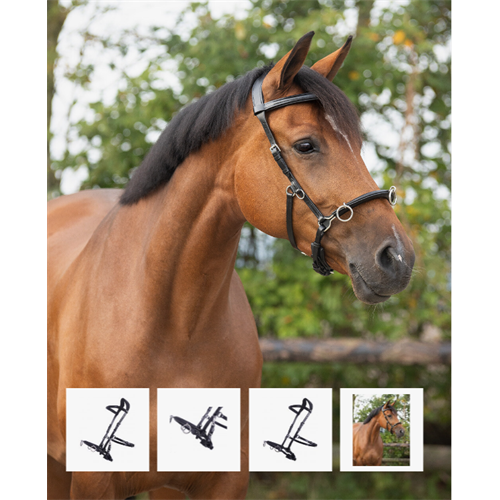 Lonžovací kožený obnosek QHP, černý - vel. Pony Obnosek lonžovací QHP, kožený, černý, vel. Pony
