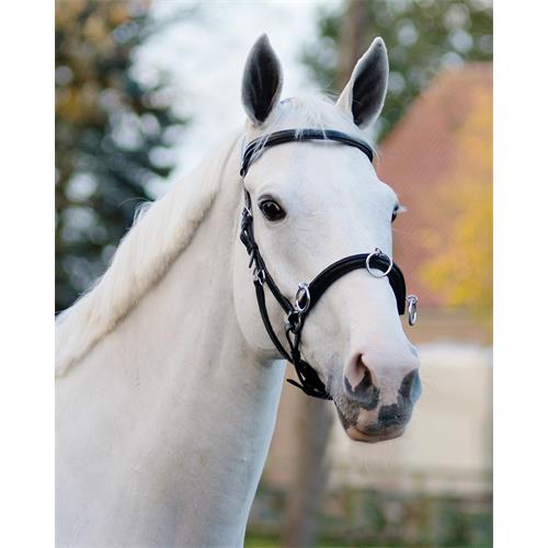 Lonžovací kožený obnosek QHP, černý - vel. Pony Obnosek lonžovací QHP, kožený, černý, vel. Pony