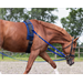 Nylonové vyvazovačky QHP, 7-D kroužků - černé, vel. Pony Vyvazovačky nylon QHP, 7- D kroužků, vel. Pony