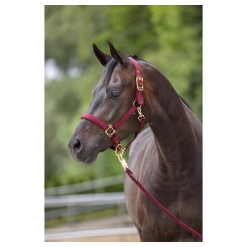 Nylonová ohlávka Covalliero Classy, vínová - vel. Pony Ohlávka Covalliero Classy, vínová, Pony