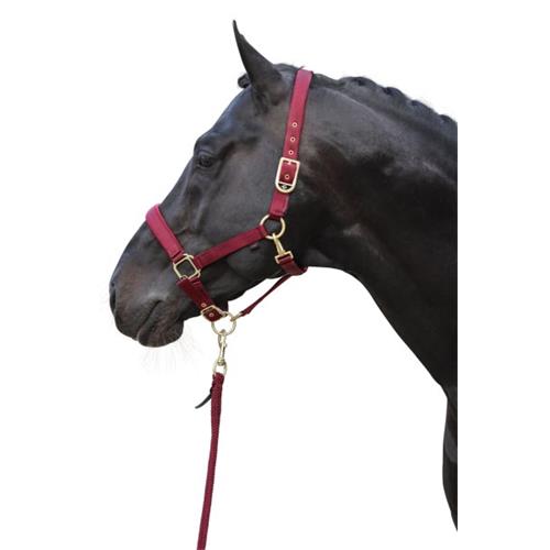Nylonová ohlávka Covalliero Classy, vínová - vel. Cob Ohlávka Covalliero Classy, vínová, Cob