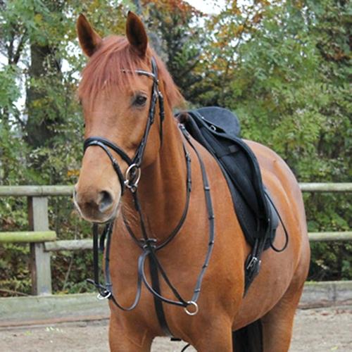 Kožený martingal Waldhausen X-Line, černý - vel. Pony Martingal Waldhausen X-Line, černý, vel. Pony