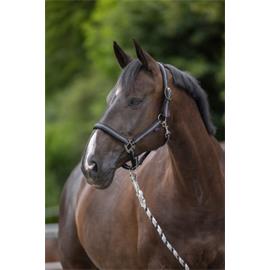 Ohlávka pro koně Mustang, stavitelná, černá - vel. Cob Ohlávka pro koně nylon, Mustang, podložená dvakrát stavitelná černá