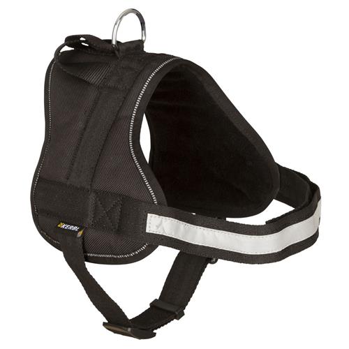 Postroj pro psy Maestro, černý - 30 - 38 cm Postroj pro psy Maestro, černá, 30 - 38 cm