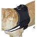 Postroj pro psy Maestro, černý - 30 - 38 cm Postroj pro psy Maestro, černá, 30 - 38 cm