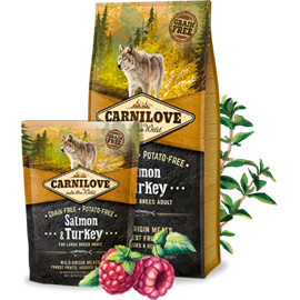 Granule pro psy Carnilove Adult Salmon & Turkey Large 1,5 kg