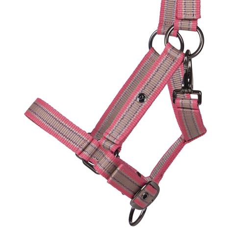 Hříběcí ohlávka QHP SS 2025 Flamingo, růžová, Full Hříběcí ohlávka QHP SS 2025 Flamingo, růžová, Full