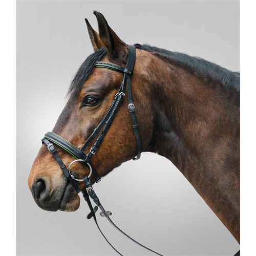 Kožená uzdečka ELT Diamond, černo-zelená - vel. Pony Uzdečka Waldhausen Diamond, černo-zelená, vel. Pony