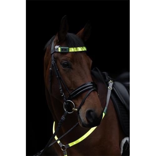 Čelenka na koně Covalliero LED, reflexní Čelenka na koně Covalliero LED, reflexní
