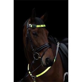 Čelenka na koně Covalliero LED, reflexní Čelenka na koně Covalliero LED, reflexní