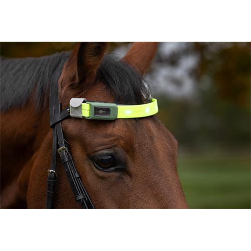 Čelenka na koně Covalliero LED, reflexní Čelenka na koně Covalliero LED, reflexní