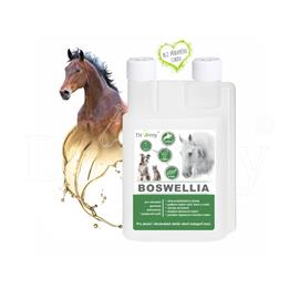 Doplněk pro koně Dromy Boswellia liquid, 1l