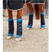 Magnetické kamaše Premier-Equine Magni-Teque - vel. S Kamaše Premier-Equine Magni-Teque, vel. S