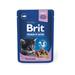 BRIT Premium Kitten whit fish Chunks kapsička 100 g Kapsička pro koťata Brit, bílá ryba s omáčkou, 100g