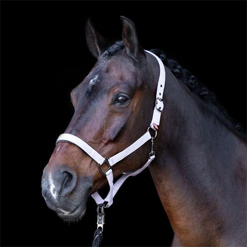 Ohlávka IRH Classic Sport, fialková - vel. Pony Ohlávka IRH Classic Sport, fialková, vel. Pony