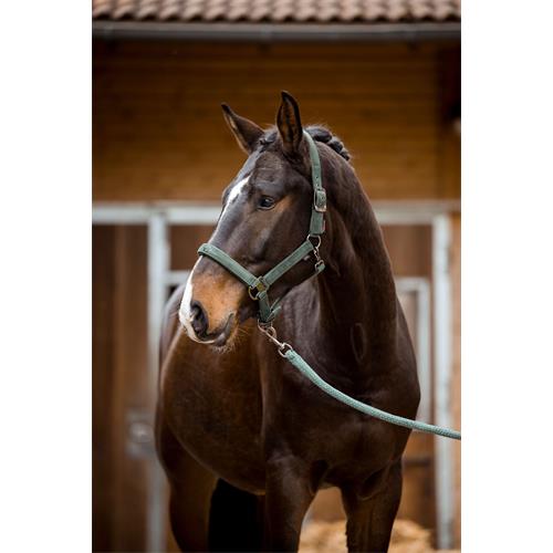 Ohlávka Covalliero 2023, olivová - Pony Ohlávka Covalliero 2023, olivová, Pony