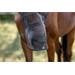 Maska proti hmyzu s krytkou přes nos Covalliero, černá - vel. Pony Maska Covalliero, krytka přes nos, černá, vel. Pony
