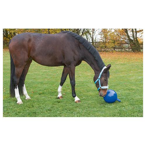 Balon pro koně nafukovací, 25 cm, modrý Balon pro koně nafukovací, 25 cm, modrý