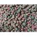Granule pro psy PROCT-DOG Adult MIX, 20 kg Granule pro psy PROCT-DOG Adult MIX, 20 kg